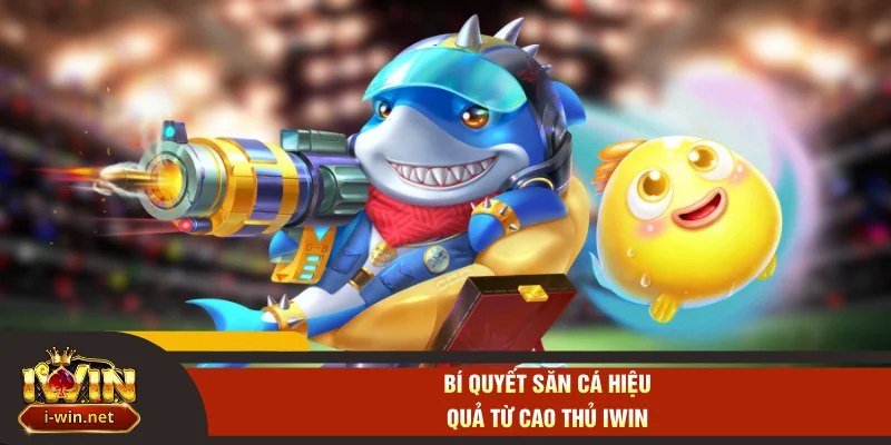 Bí quyết săn cá hiệu quả từ cao thủ IWIN