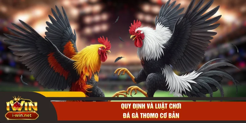 Quy định và luật chơi đá gà Thomo cơ bản
